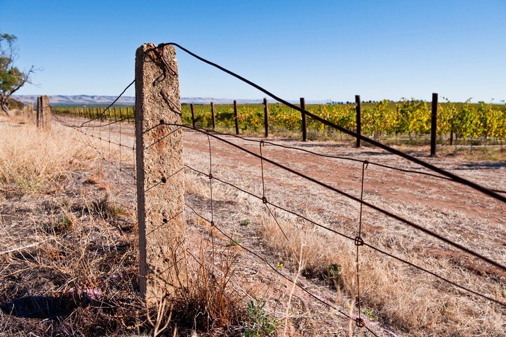 Image: The McLaren Vale, south of Adelaide, pictured in an April which was almost as dry as April 2025. Source: iStock/kimeveruss