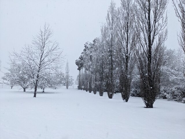 Image: Guyra was covered in up to 15cm of snow by midday on August 2, 2025. Source: Shane Battistuzzi