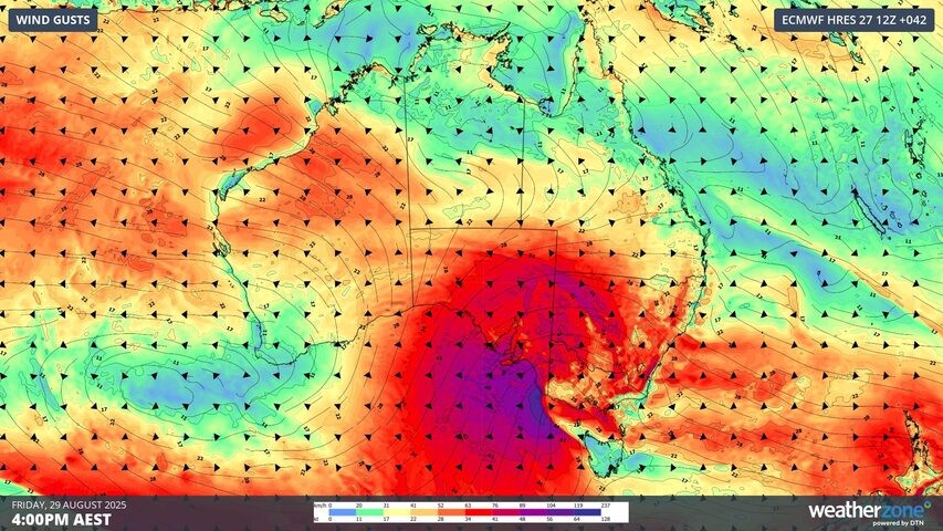 Image: Forecast wind gusts this Friday. Source: Weatherzone.