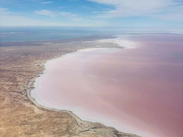 Image: Pink water in Kati Thanda-Lake Eyre in late-November 2025. Source: @chintachick / Instagram