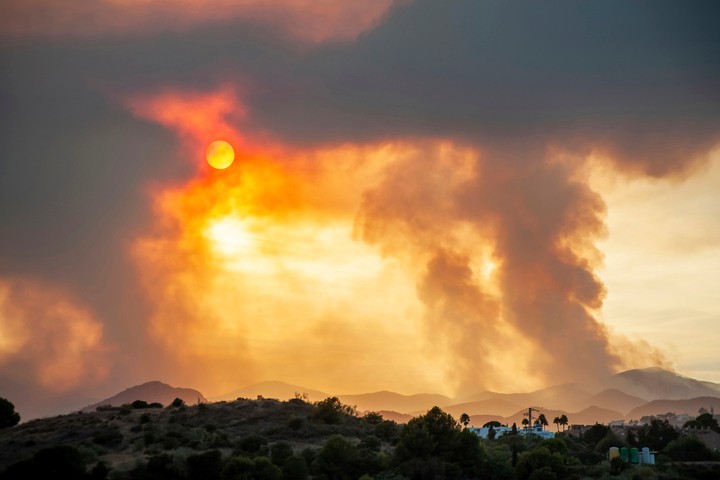 Image: A heatwave will contribute to elevated fire danger ratings over parts of Australia this week. Source: iStock / Francisco Ramirez-Mata.