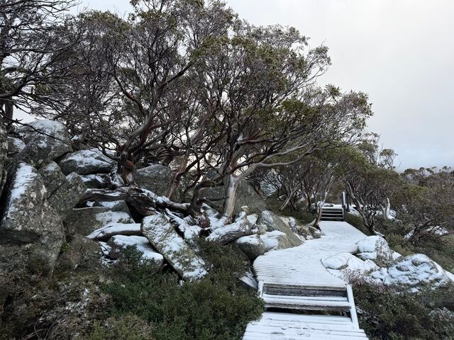 Image: Light snow at Charlotte Pass, NSW, on May 31, 2026. Source: Steve Smith