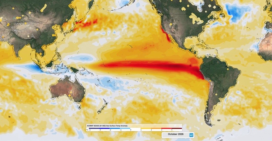 Image: Forecast sea surface temperature anomalies in October 2026. Source: Weatherzone.