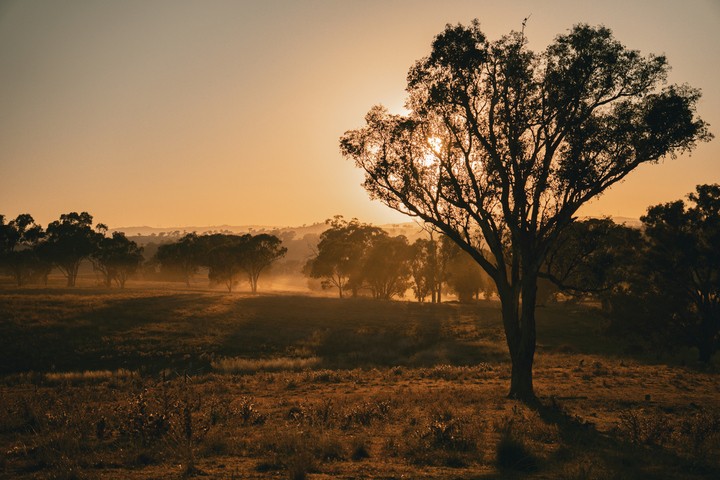 Image: A property in central NSW, one of the parts of the Murray-Darling Basin which experienced a very dry September in 2026. Source: istock/Amanda Sala