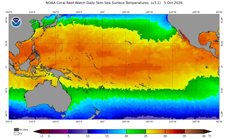 Image: Pacific Ocean sea surface temperatures on October 5, 2026. Source: NOAA.