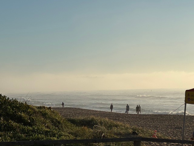 Image: Cool coastal waters during spring can lead to sea fog, as seen here in Dee Why, NSW. Source: Felix Levesque/Weatherzone